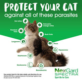 NexGard Spectra 0.8 - 2.4kg Cat Flea Tick & Worm Spot-On